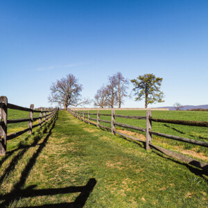 Antietam National Battlefield in Sharpsburg, MD. Not only do I love visiting historical sites, but I love capturing the beauty as they are now knowing the chaos and sometimes horrific carnage they once possessed. It shows that from trauma can grow wonderful things, and it preserves the previous history as well as the history of the moment.
LOCATION: Sharpsburg, MD
TECH: Canon EOS Rebel 850D. EF-S 18-55 and 70-300 lenses. Antietam National Battlefield