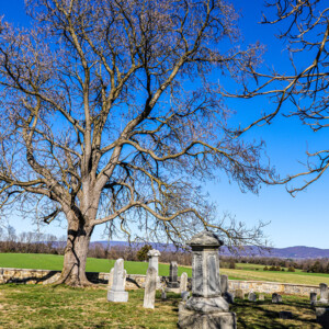 Antietam National Battlefield in Sharpsburg, MD. Not only do I love visiting historical sites, but I love capturing the beauty as they are now knowing the chaos and sometimes horrific carnage they once possessed. It shows that from trauma can grow wonderful things, and it preserves the previous history as well as the history of the moment.
LOCATION: Sharpsburg, MD
TECH: Canon EOS Rebel 850D. EF-S 18-55 and 70-300 lenses. Antietam National Battlefield
