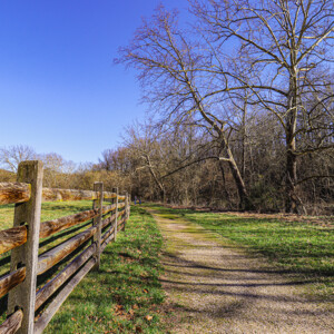 Antietam National Battlefield in Sharpsburg, MD. Not only do I love visiting historical sites, but I love capturing the beauty as they are now knowing the chaos and sometimes horrific carnage they once possessed. It shows that from trauma can grow wonderful things, and it preserves the previous history as well as the history of the moment.
LOCATION: Sharpsburg, MD
TECH: Canon EOS Rebel 850D. EF-S 18-55 and 70-300 lenses. Antietam National Battlefield