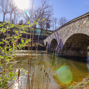 Antietam National Battlefield in Sharpsburg, MD. Not only do I love visiting historical sites, but I love capturing the beauty as they are now knowing the chaos and sometimes horrific carnage they once possessed. It shows that from trauma can grow wonderful things, and it preserves the previous history as well as the history of the moment.
LOCATION: Sharpsburg, MD
TECH: Canon EOS Rebel 850D. EF-S 18-55 and 70-300 lenses. Antietam National Battlefield