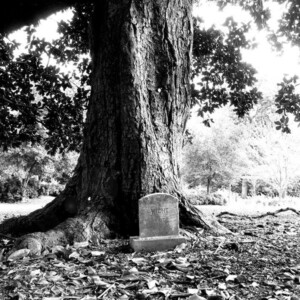 My short trip to Atlanta was a fantastic journey in urban photography. From a trip to the Georgia Aquarium and Olympic park, to a serene walk through one of the oldest cemeteries in the city, and even unique finds at a thrift store, I tried to make the most of a weekend trip.
<br><br>
TECH: Canon EOS Rebel T3i. EF-S 18-55 and 70-200 lenses. Atlanta, GA