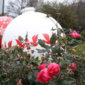 Giant Christmas ornaments in Olympic Park. Canon EOS Rebel T3i. Giant Christmas ornaments in Olympic Park. Canon EOS Rebel T3i.