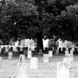 Civil war plots in Oakland Cemetery. These are a mix of both Union and Confederate soldiers, buried side by side in perfect rows. Separating the politics from the people, they were often lives lost of loved ones and here they were buried with dignity under or in the shadows of sprawling magnolia trees. Canon EOS Rebel T3i. Civil war plots in Oakland Cemetery. These are a mix of both Union and Confederate soldiers, buried side by side in perfect rows. Separating the politics from the people, they were often lives lost of loved ones and here they were buried with dignity under or in the shadows of sprawling magnolia trees. Canon EOS Rebel T3i.