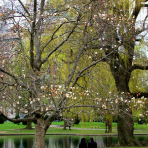 Couple sitting near a pond on a chilly spring day near Boston Common. Canon EOS Rebel T3i. Couple sitting near a pond on a chilly spring day near Boston Common. Canon EOS Rebel T3i.