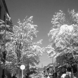 Carnegie is a small suburb south of Pittsburgh with a quaint, up-and-coming vibe.
<br><br>
TECH: Canon PowerShot SX150 IS, Samsung Gravity 2, Canon Rebel 2000 35mm, Canon T3i Carnegie is a small suburb south of Pittsburgh with a quaint, up-and-coming vibe. <br><br> TECH: Canon PowerShot SX150 IS, Samsung Gravity 2, Canon Rebel 2000 35mm, Canon T3i
