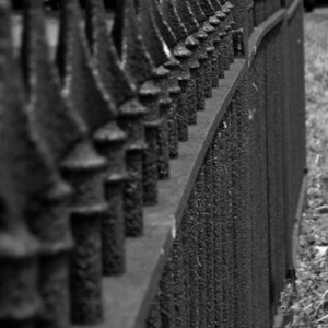 Carnegie is a small suburb south of Pittsburgh with a quaint, up-and-coming vibe.
<br><br>
TECH: Canon PowerShot SX150 IS, Samsung Gravity 2, Canon Rebel 2000 35mm, Canon T3i Carnegie is a small suburb south of Pittsburgh with a quaint, up-and-coming vibe. <br><br> TECH: Canon PowerShot SX150 IS, Samsung Gravity 2, Canon Rebel 2000 35mm, Canon T3i