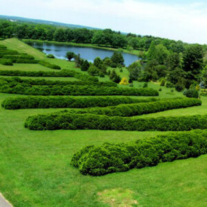Topiary hedges spelling out Dawes Arboretum as viewed from the observation fire tower. Canon EOS Rebel T3i. Topiary hedges spelling out Dawes Arboretum as viewed from the observation fire tower. Canon EOS Rebel T3i.
