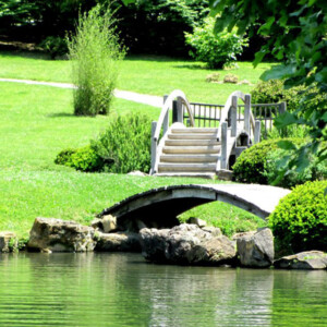 Foot bridges crossing ponds and streams at Dawes Arboretum. Canon EOS Rebel T3i. Foot bridges crossing ponds and streams at Dawes Arboretum. Canon EOS Rebel T3i.