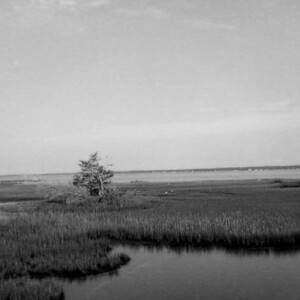 Hammocks Beach near Emerald Isle, NC. Canon PowerShot SX150 IS. Hammocks Beach near Emerald Isle, NC. Canon PowerShot SX150 IS.