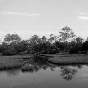 Hammocks Beach near Emerald Isle, NC. Canon PowerShot SX150 IS. Hammocks Beach near Emerald Isle, NC. Canon PowerShot SX150 IS.v