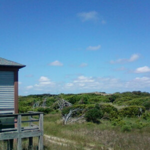 Hammocks Beach near Emerald Isle, NC. Canon PowerShot SX150 IS. Hammocks Beach near Emerald Isle, NC. Canon PowerShot SX150 IS.