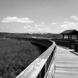 Hammocks Beach near Emerald Isle, NC. Canon PowerShot SX150 IS. Hammocks Beach near Emerald Isle, NC. Canon PowerShot SX150 IS.