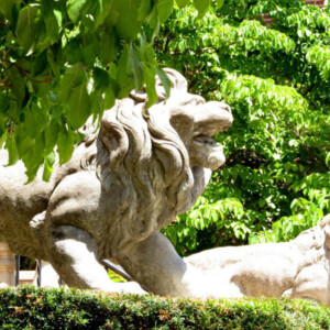 Lions near the old county court house in Fayette County, PA. Canon Rebel 2000 35mm. Lions near the old county court house in Fayette County, PA. Canon Rebel 2000 35mm.