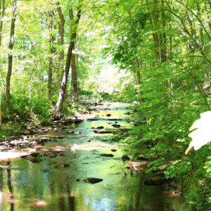Hell's Hollow at McConnell's Mill State Park. Canon EOS 850D. Hell's Hollow at McConnell's Mill State Park. Canon EOS 850D.