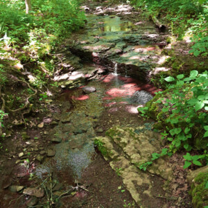 Hell's Hollow at McConnell's Mill State Park. Canon EOS 850D. Hell's Hollow at McConnell's Mill State Park. Canon EOS 850D.