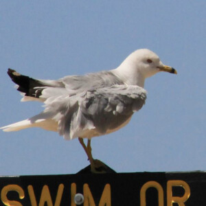 Washington Park and Michigan City Beach in Michigan City, IN. Canon EOS T3i. Washington Park and Michigan City Beach in Michigan City, IN. Canon EOS T3i.