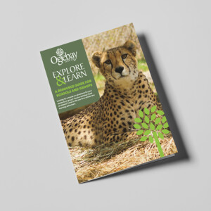 Booklet brochure design for educational programs at the Good Zoo. Booklet brochure design for educational programs at the Good Zoo.