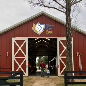 Eleven Oaks Farm barn signage. Eleven Oaks Farm barn signage.