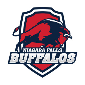 Is it buffalos or buffaloes? I lean toward the -oes version, but the GM said they were the -os version. Originally, this was presented without the crest behind, but the powers that be wanted it to be anchored to something. Is it buffalos or buffaloes? I lean toward the -oes version, but the GM said they were the -os version. Originally, this was presented without the crest behind, but the powers that be wanted it to be anchored to something.