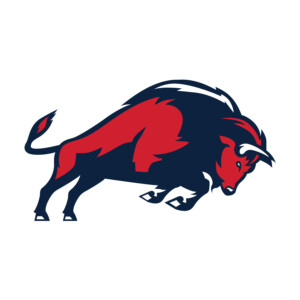 The stand alone charging buffalo logo. More the way it was initially intended! The stand alone charging buffalo logo. More the way it was initially intended!
