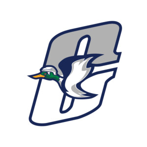 Tertiary C logo. This worked until they were no longer in Canton. Branding: UHL Mallards