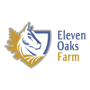 This family thoroughbred horse farm wanted a new logo to be able to put on apparel and other branded items related to the farm business. The logo needed to feature the rolling hills of Western PA, a pin oak leaf prevalent on the farm, and a profile of one of their horses. This family thoroughbred horse farm wanted a new logo to be able to put on apparel and other branded items related to the farm business. The logo needed to feature the rolling hills of Western PA, a pin oak leaf prevalent on the farm, and a profile of one of their horses.