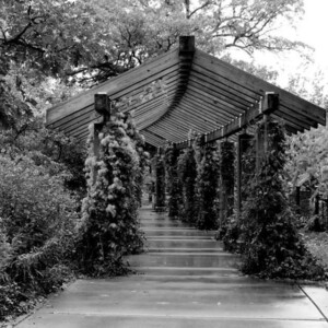 Minnehaha Falls Park. Canon EOS T3i. Minnehaha Falls Park. Canon EOS T3i.