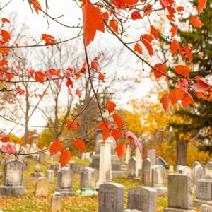 Historic Mount Hope Cemetery in Rochester, NY. Photography: Rochester, NY. Historic Mount Hope Cemetery in Rochester, NY.