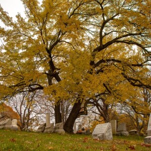 Historic Mount Hope Cemetery in Rochester, NY. Photography: Rochester, NY. Historic Mount Hope Cemetery in Rochester, NY.