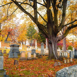 Historic Mount Hope Cemetery in Rochester, NY. Photography: Rochester, NY. Historic Mount Hope Cemetery in Rochester, NY.