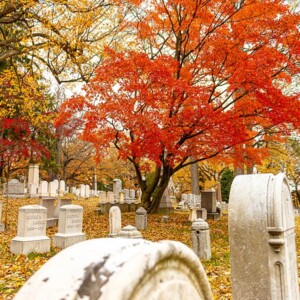 Historic Mount Hope Cemetery in Rochester, NY. Photography: Rochester, NY. Historic Mount Hope Cemetery in Rochester, NY.