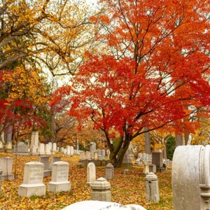 Historic Mount Hope Cemetery in Rochester, NY. Photography: Rochester, NY. Historic Mount Hope Cemetery in Rochester, NY.