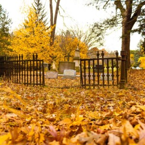 Historic Mount Hope Cemetery in Rochester, NY. Photography: Rochester, NY. Historic Mount Hope Cemetery in Rochester, NY.