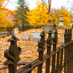 Historic Mount Hope Cemetery in Rochester, NY. Photography: Rochester, NY. Historic Mount Hope Cemetery in Rochester, NY.
