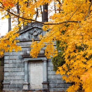 Historic Mount Hope Cemetery in Rochester, NY. Photography: Rochester, NY. Historic Mount Hope Cemetery in Rochester, NY.