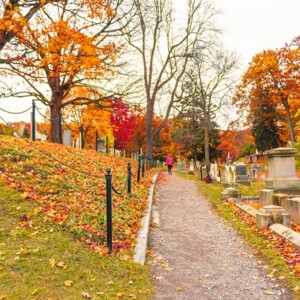 Historic Mount Hope Cemetery in Rochester, NY. Photography: Rochester, NY. Historic Mount Hope Cemetery in Rochester, NY.