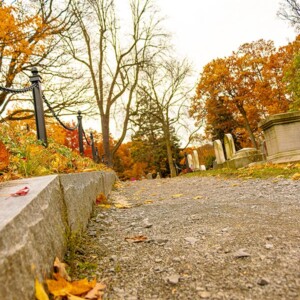 Historic Mount Hope Cemetery in Rochester, NY. Photography: Rochester, NY. Historic Mount Hope Cemetery in Rochester, NY.