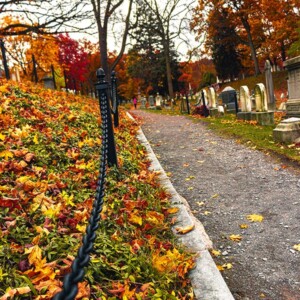 Historic Mount Hope Cemetery in Rochester, NY. Photography: Rochester, NY. Historic Mount Hope Cemetery in Rochester, NY.