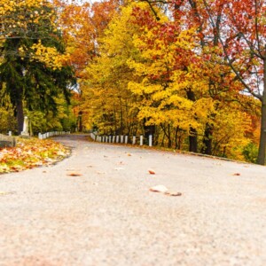 Historic Mount Hope Cemetery in Rochester, NY. Photography: Rochester, NY. Historic Mount Hope Cemetery in Rochester, NY.