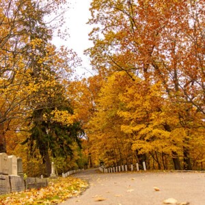 Historic Mount Hope Cemetery in Rochester, NY. Photography: Rochester, NY. Historic Mount Hope Cemetery in Rochester, NY.