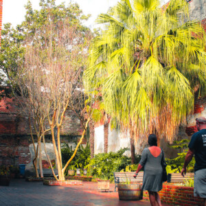 Downtown New Orleans. Canon EOS T3i. Downtown New Orleans. Canon EOS T3i.