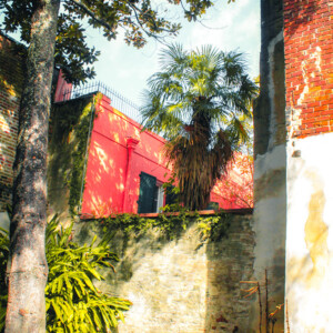 Downtown New Orleans. Canon EOS T3i. Downtown New Orleans. Canon EOS T3i.