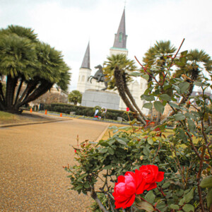 Jackson Square. Canon EOS T3i. Jackson Square. Canon EOS T3i.