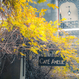 Downtown New Orleans. Canon EOS T3i. Downtown New Orleans. Canon EOS T3i.