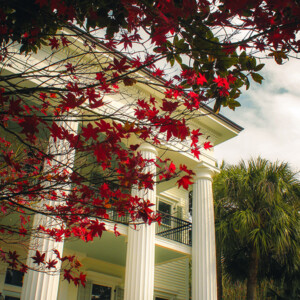Garden District. Canon EOS T3i. Garden District. Canon EOS T3i.