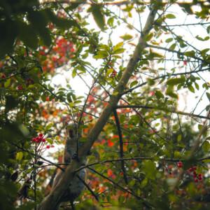 Garden District. Canon EOS T3i. Garden District. Canon EOS T3i.