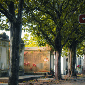 Lafayette Cemetery No. 1. Yes, the one where NKOTB shot parts of You Got It (The Right Stuff). Canon EOS T3i. Lafayette Cemetery No. 1. Yes, the one where NKOTB shot parts of You Got It (The Right Stuff). Canon EOS T3i.