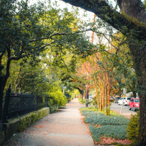 Garden District. Canon EOS T3i. Garden District. Canon EOS T3i.
