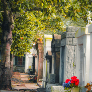 Lafayette Cemetery No. 1. Yes, the one where NKOTB shot parts of You Got It (The Right Stuff). Canon EOS T3i. Lafayette Cemetery No. 1. Yes, the one where NKOTB shot parts of You Got It (The Right Stuff). Canon EOS T3i.