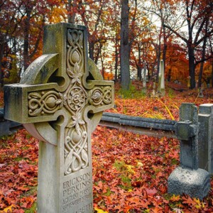 Photography: Rochester, NY Photography: Rochester, NY